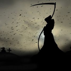 Meet your Posher, Jesse